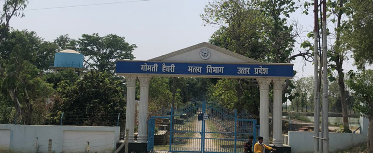 Gomti Hatchery, Uttar Pradesh